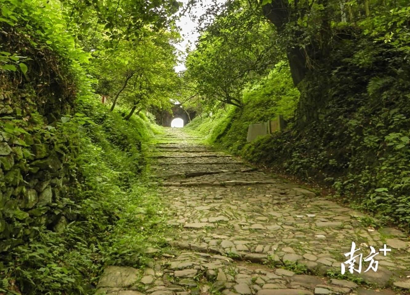 张九龄之妻墓现身西安<strong></p>
<p>虚拟币黄白线代表什么</strong>,“岭南第一人”在岭南还留下这些踪迹