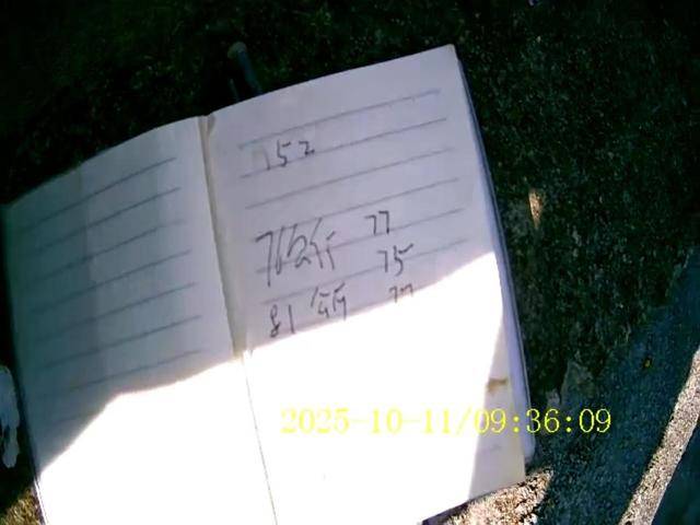 100斤玉米上秤秒变60斤?贵州一村民遭“鬼秤”骗粮!民警出手<strong></p>
<p>虚拟币黄白线</strong>,5人被拘