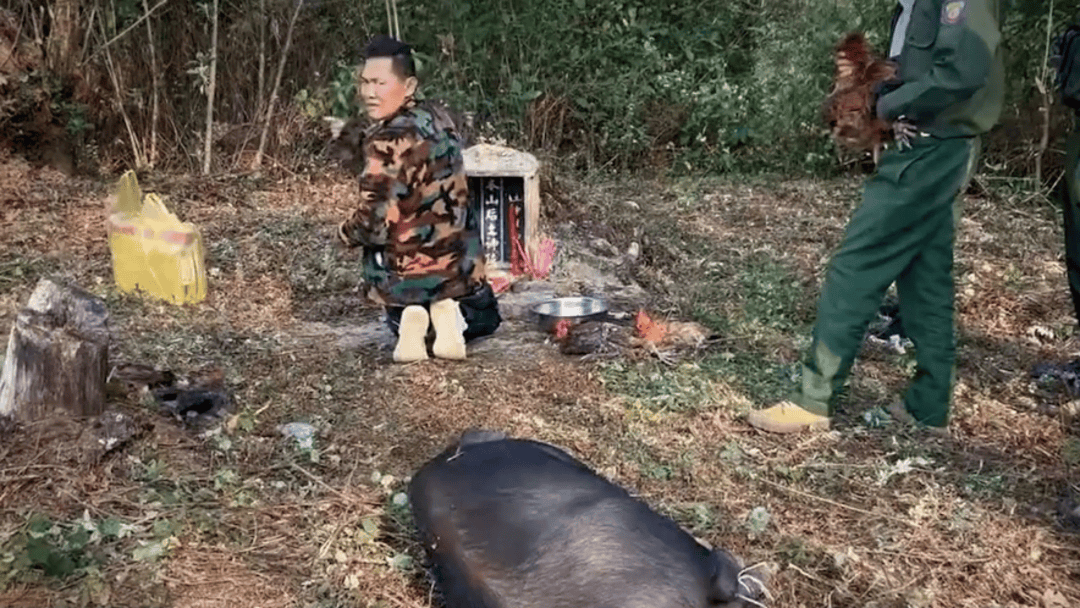 公安机关侦破缅北果敢徐老发犯罪集团专案<strong></p>
<p>快手直播送礼物</strong>,详情披露!