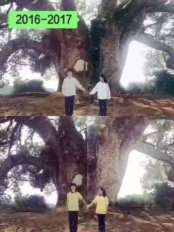 岳阳情侣连续9年在家乡千年古樟树下合影<strong></p>
<p>快手直播送礼物</strong>,今年国庆终修正果:希望爱情像古树一样长久