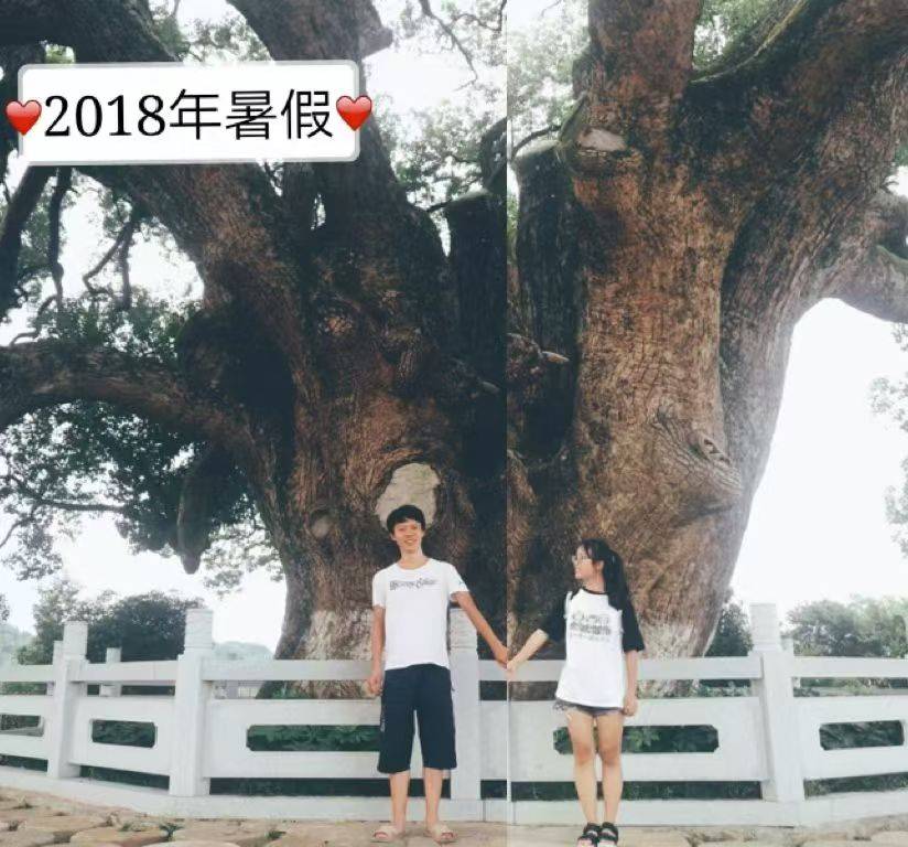 岳阳情侣连续9年在家乡千年古樟树下合影<strong></p>
<p>快手直播送礼物</strong>,今年国庆终修正果:希望爱情像古树一样长久
