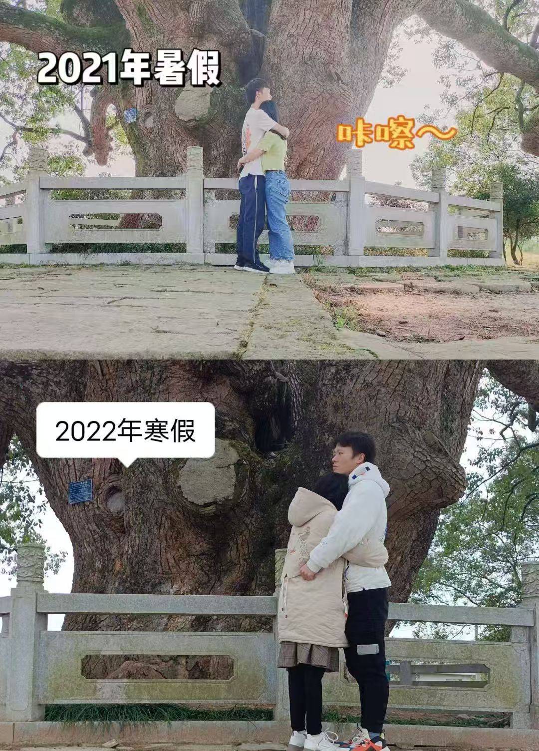 岳阳情侣连续9年在家乡千年古樟树下合影<strong></p>
<p>快手直播送礼物</strong>,今年国庆终修正果:希望爱情像古树一样长久