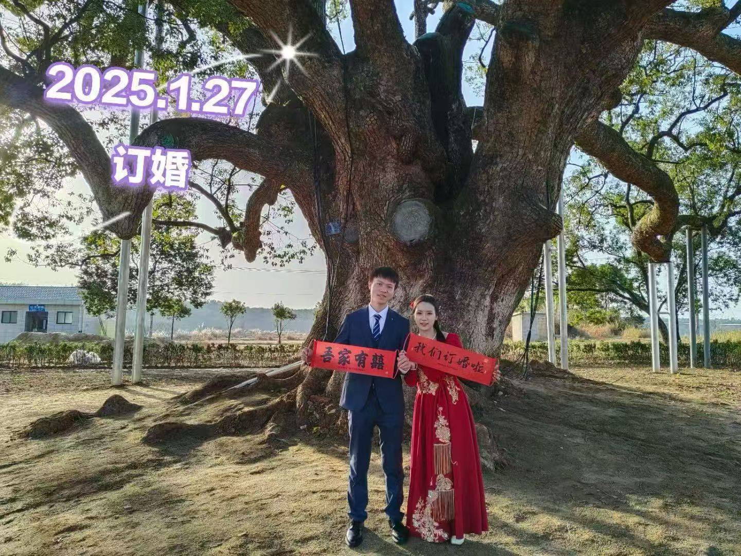 岳阳情侣连续9年在家乡千年古樟树下合影<strong></p>
<p>快手直播送礼物</strong>,今年国庆终修正果:希望爱情像古树一样长久