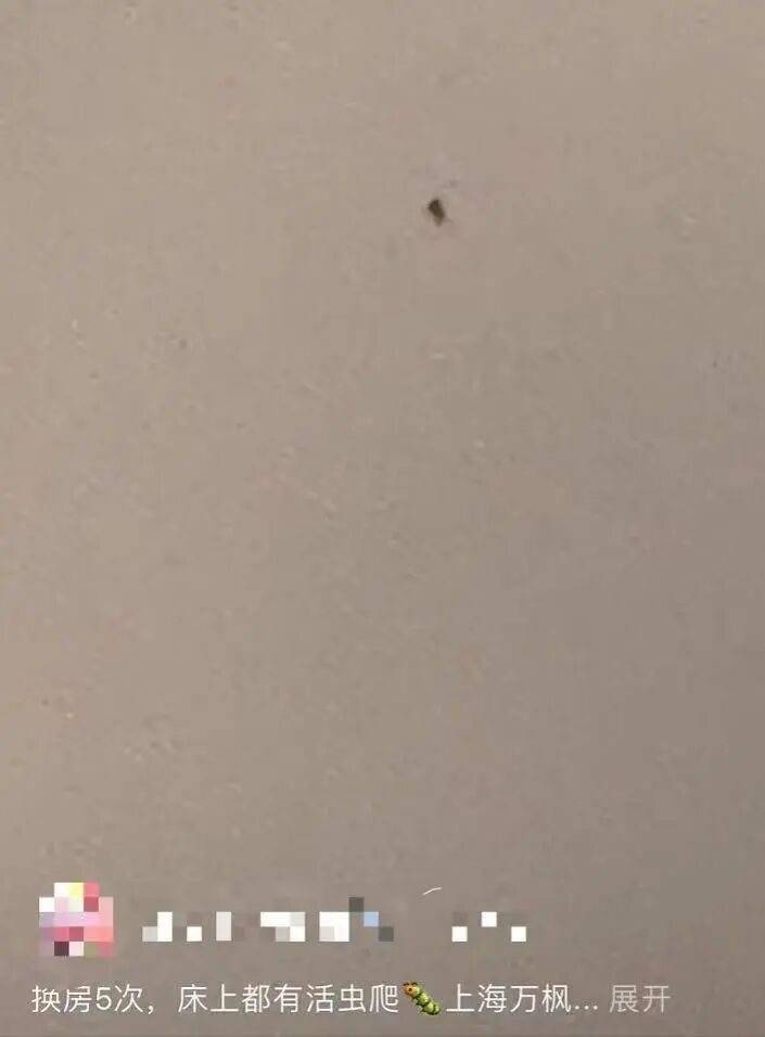 “连换5间房<strong></p>
<p>快手直播送礼物</strong>,每间床上都有活虫!”上海新开高档酒店回应