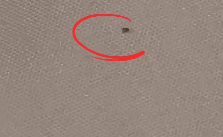 “连换5间房<strong></p>
<p>快手直播送礼物</strong>,每间床上都有活虫!”上海新开高档酒店回应