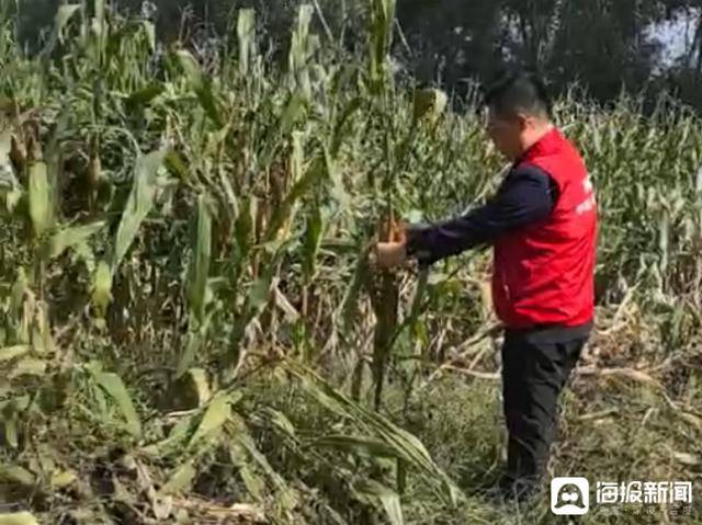 人保财险山东分公司启动应急预案 快处快赔应对秋雨