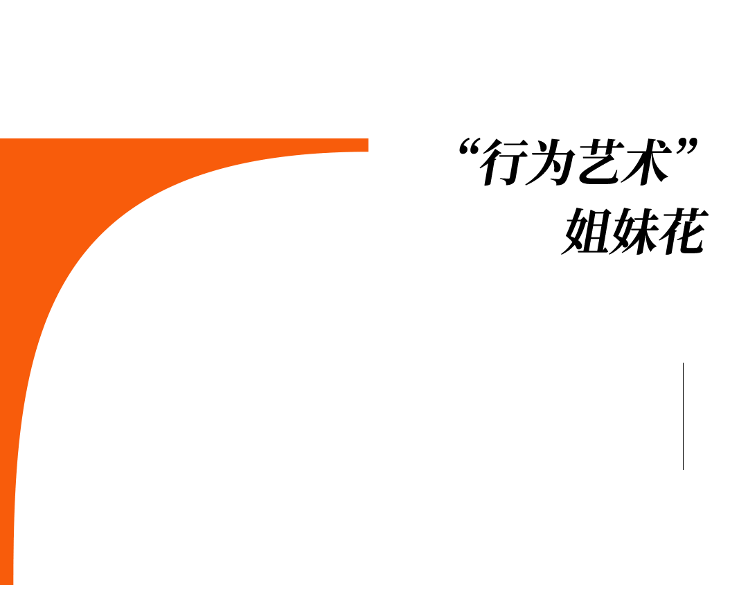 爱马仕当“头饰”<strong></p>
<p>快手直播送礼物</strong>,香奈儿挂满身,这对“神秘姐妹”是谁?