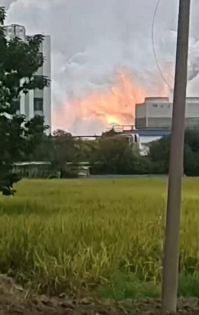 澄星股份工厂发生火灾?附近酒店:已灭火<strong></p>
<p>虚拟币断网</strong>,有刺激性气味,建议不开窗