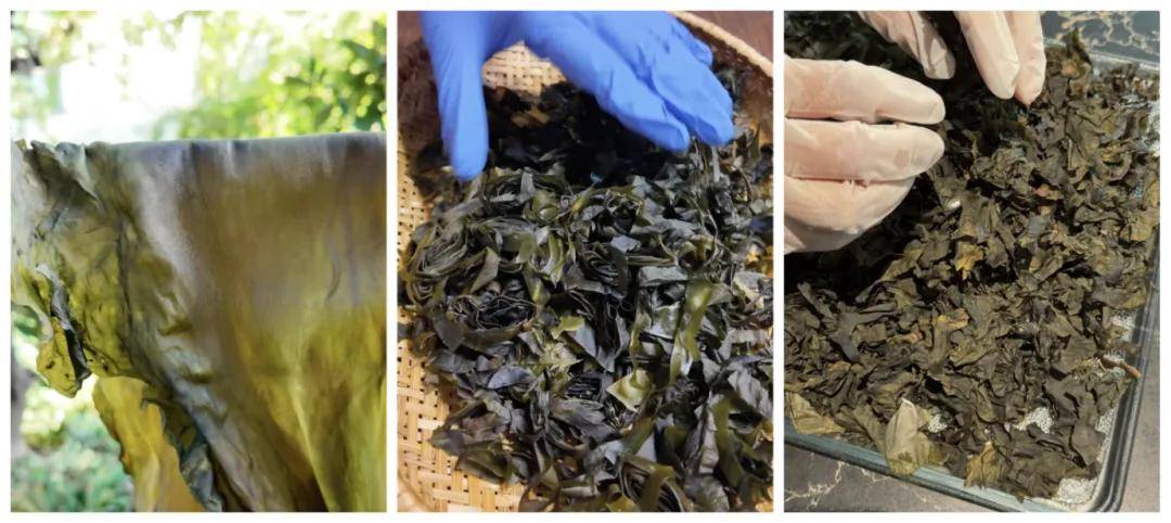 被万亿巨头忽略的赛道<strong></p>
<p>虚拟币断网</strong>,却受年轻人追捧,有公司年销70亿