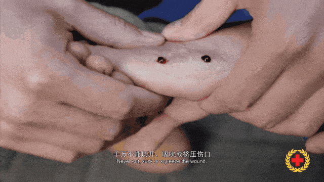 女子半夜上厕所<strong></p>
<p>国家虚拟人民币</strong>,马桶里突然窜出一条蛇!