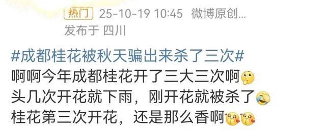 成都桂花又开了<strong></p>
<p>国家虚拟人民币</strong>?原来是因为……