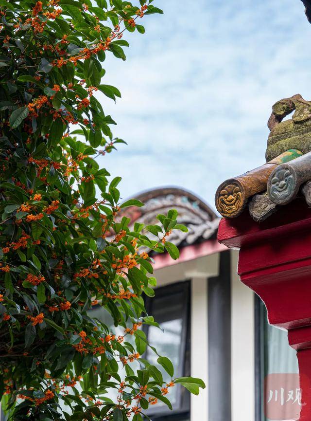 成都桂花又开了<strong></p>
<p>国家虚拟人民币</strong>?原来是因为……