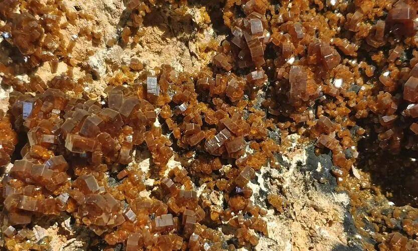 王牌对王牌!中美措施同一天生效<strong></p>
<p>币安怎么样虚拟币充话费</strong>,美盟友密集访华,释放什么信号?