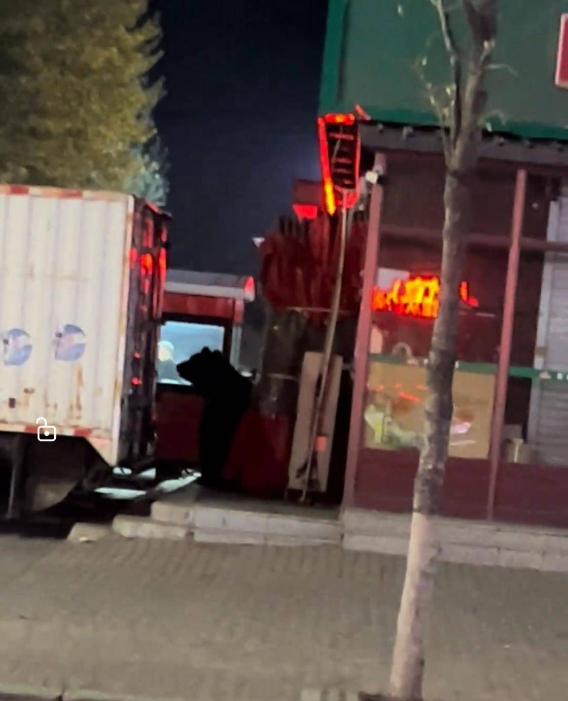 大黑熊夜里独闯黑龙江一县城闹市区<strong></p>
<p>虚拟币的经营模式</strong>,警方连开10多枪击毙,回应为何没用麻醉枪