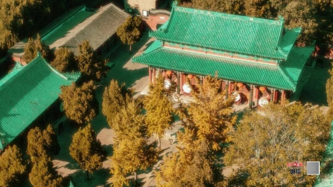 银杏金黄<strong></p>
<p>虚拟币的经营模式</strong>!铺满焦作的秋天!