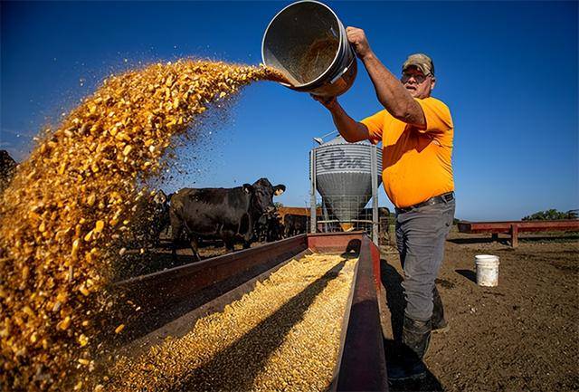 又输给了李成钢<strong></p>
<p>雷达币四虚拟货币</strong>，贝森特承诺：美方不再考虑对华加征100%关税