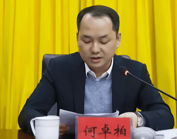 何卓柏<strong></p>
<p>sunny虚拟币价格</strong>,严重违纪违法