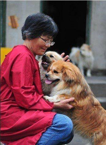 合肥卖房救助流浪狗的魏阿姨离世<strong></p>
<p>虚拟币</strong>，病中仍然惦记着基地的600只流浪狗，工人：不敢相信世上还有这样执着的人