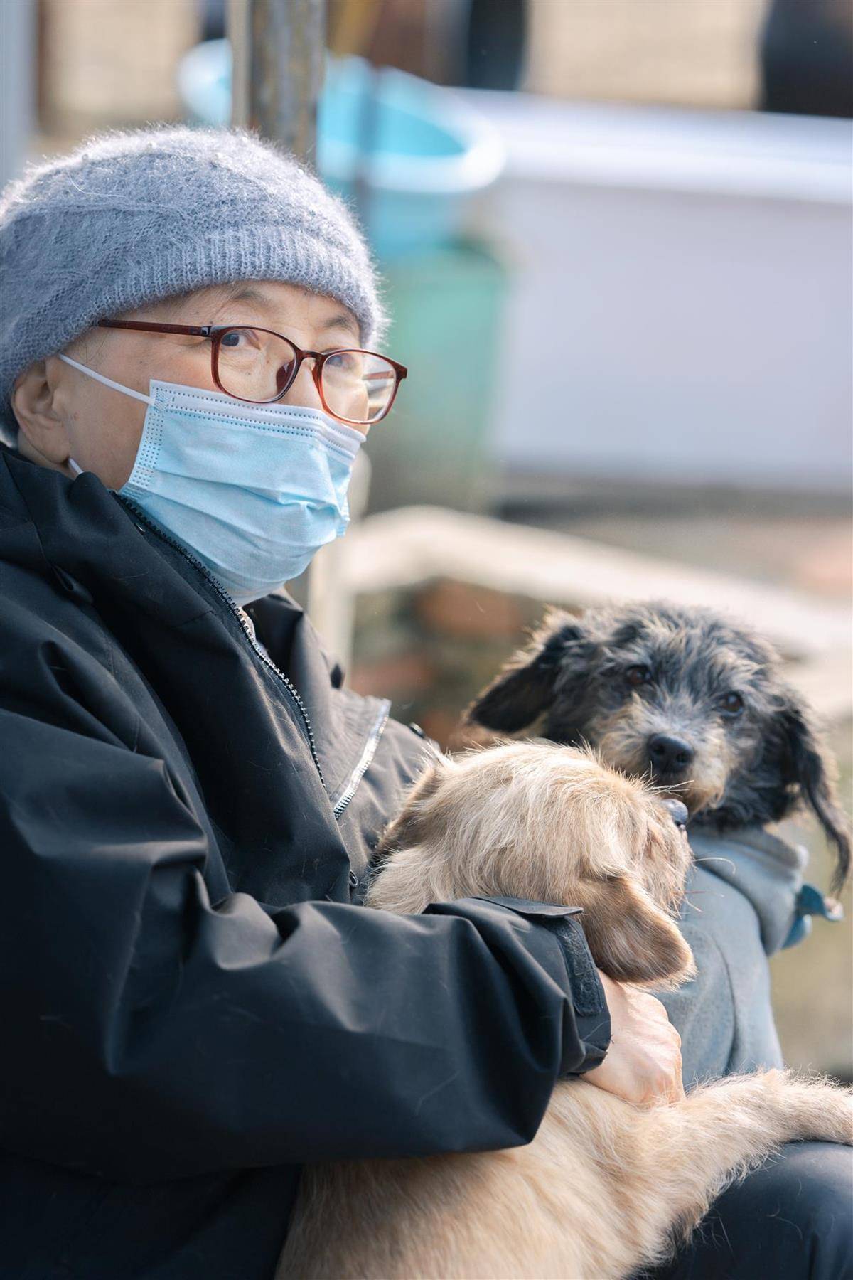 合肥卖房救助流浪狗的魏阿姨离世<strong></p>
<p>虚拟币</strong>，病中仍然惦记着基地的600只流浪狗，工人：不敢相信世上还有这样执着的人