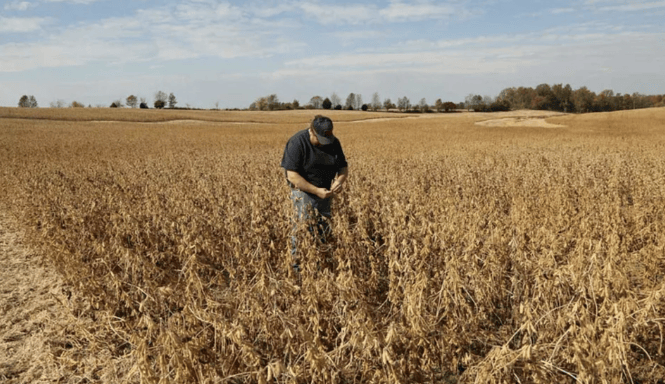 谈妥了又突然变卦！中国复购美国大豆换关税暂停<strong></p>
<p>虚拟币回流</strong>，美贸易代表直接通告全球：继续查中国