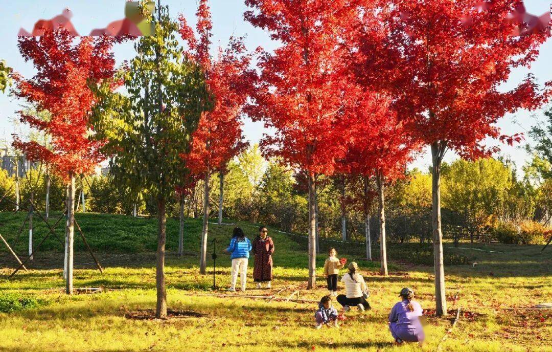 北京新添一个超美大公园<strong></p>
<p>台湾</strong>！占地超300亩