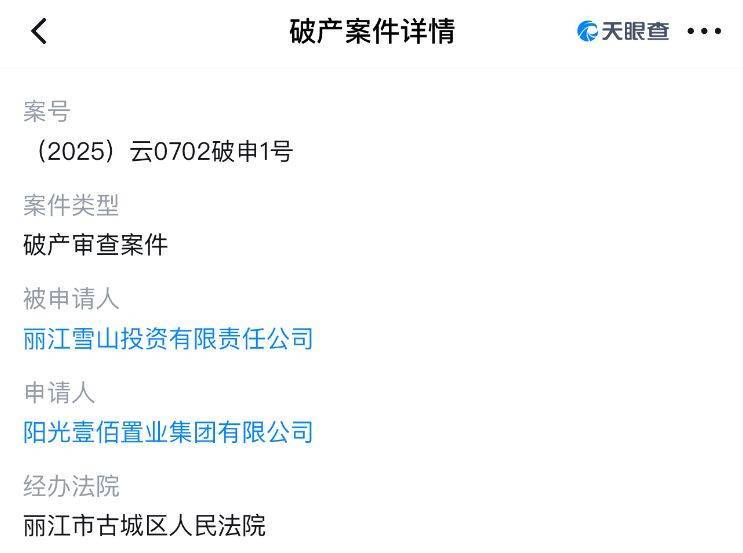 李亚鹏开发的雪山艺术小镇被申请破产<strong></p>
<p>虚拟币母币字币值钱吗</strong>,原股东股权价值将归零?