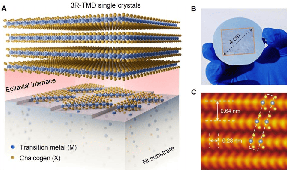33岁刘灿<strong></p>
<p>抹茶虚拟币livecoin</strong>,破格晋升中国人民大学教授