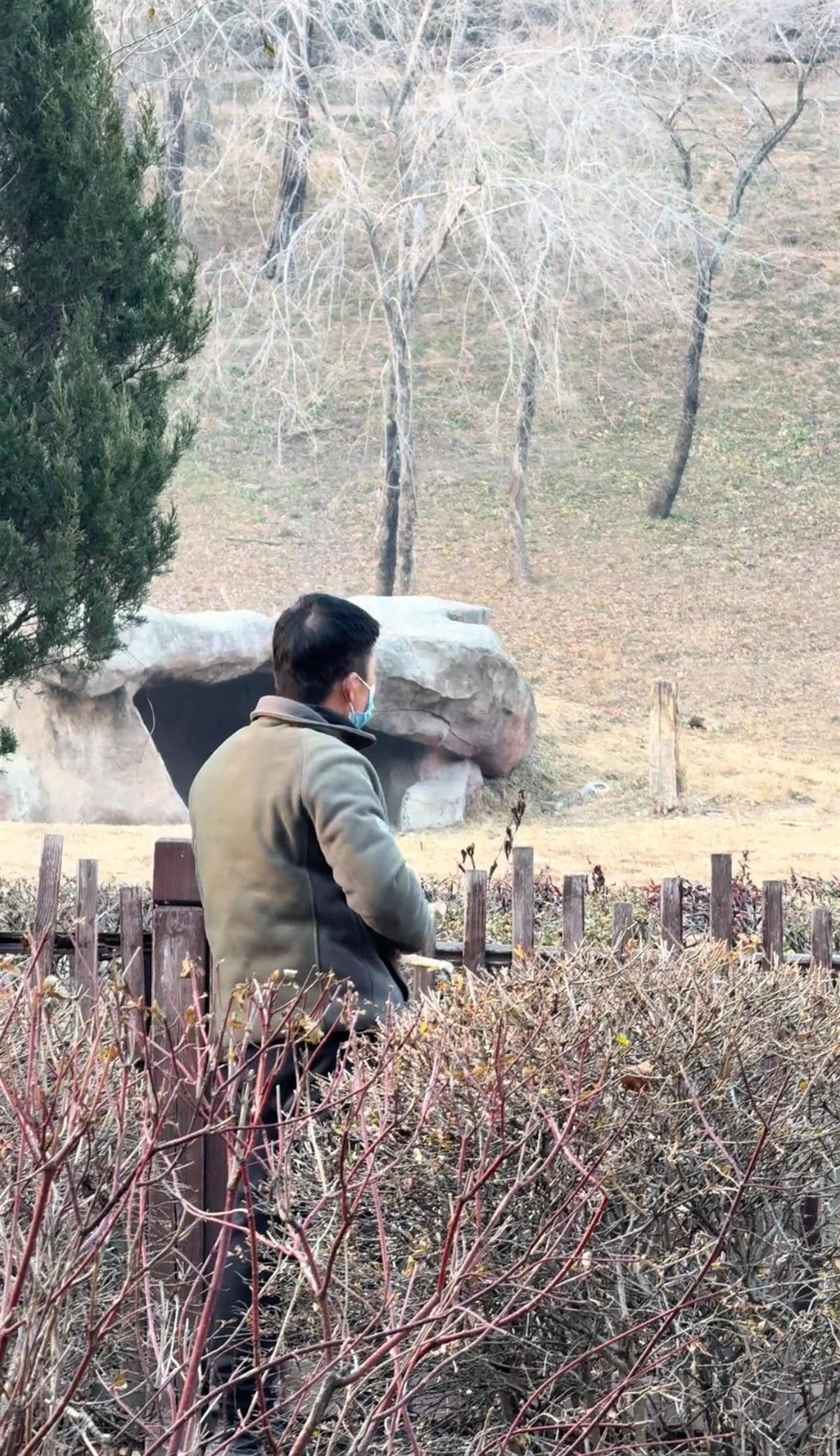 沈阳一男子动物园内用弹弓射老虎<strong></p>
<p>2018年虚拟币牛市转熊市</strong>,目击者称其“填装了弹丸”,打完后老虎爬起来了,园方:正在核实情况