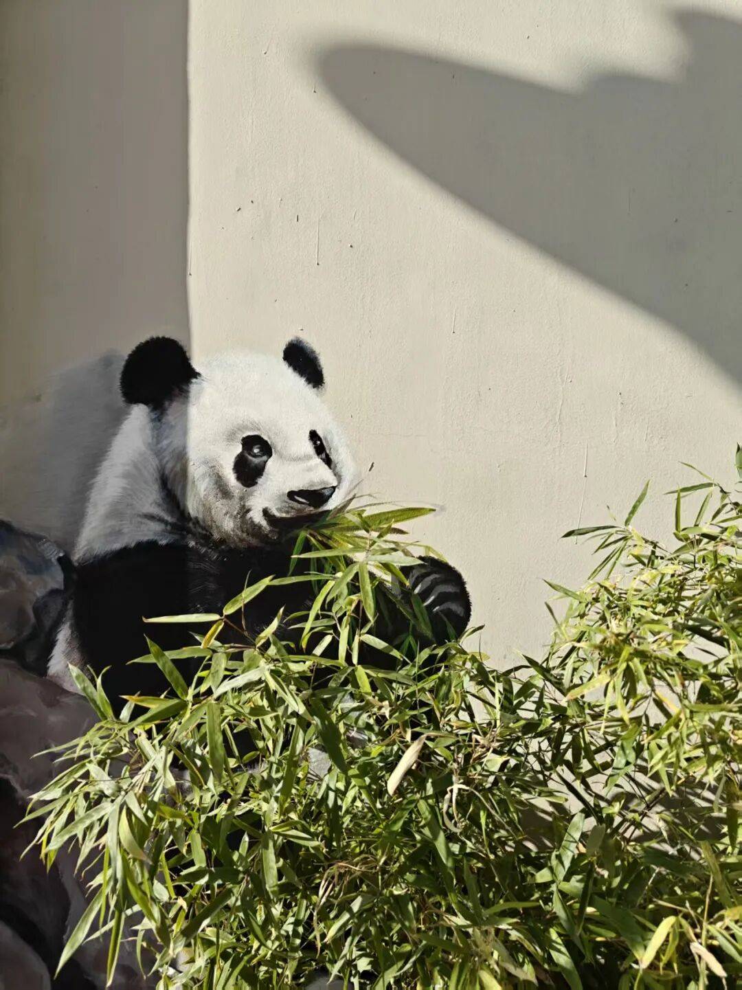 “颜值”出圈 天津和平区独山路这面彩绘墙“亮”<strong></p>
<p>2021年最有潜力的虚拟币排行</strong>了