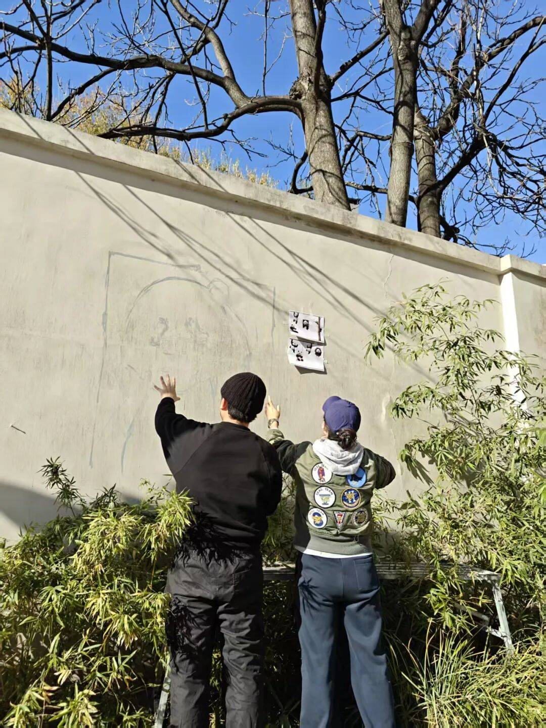 “颜值”出圈 天津和平区独山路这面彩绘墙“亮”<strong></p>
<p>2021年最有潜力的虚拟币排行</strong>了