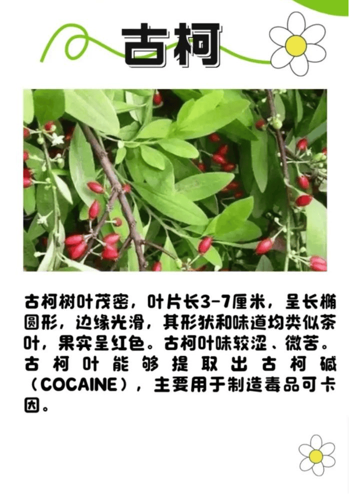 悬赏1500万美金!前奥运选手涉多起案件<strong></p>
<p>2022年虚拟币还有牛市吗</strong>,被列入十大通缉犯