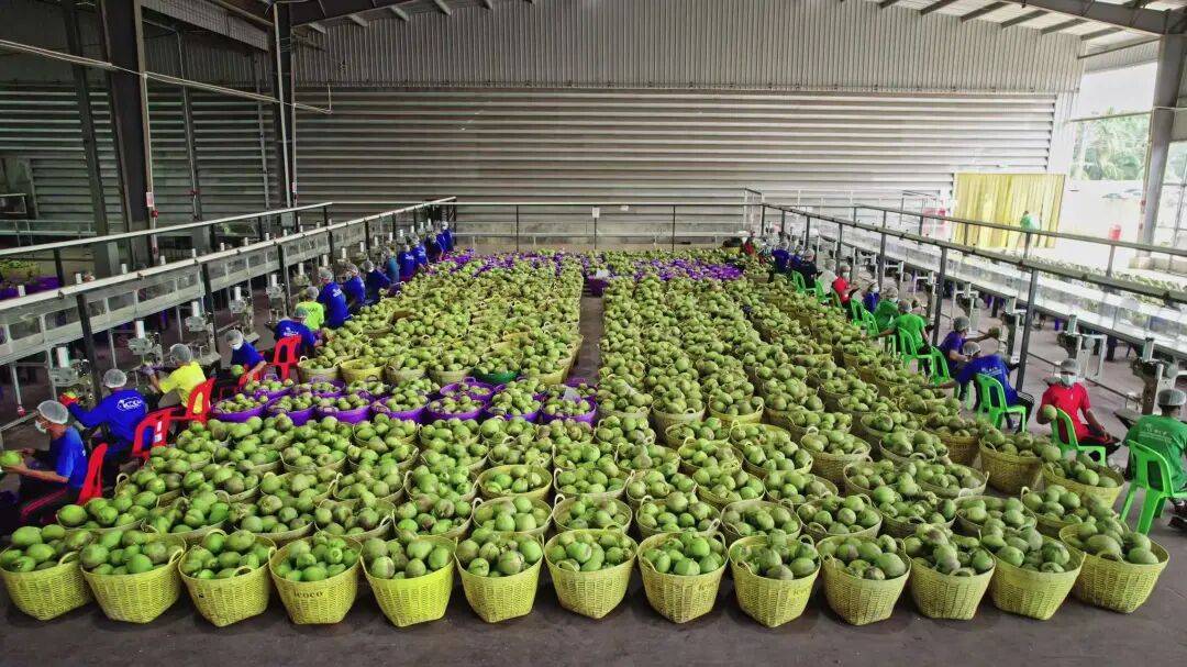 椰子水之外<strong></p>
<p>显卡可以挖哪些虚拟币BTM</strong>，大公司争夺40亿元生椰市场