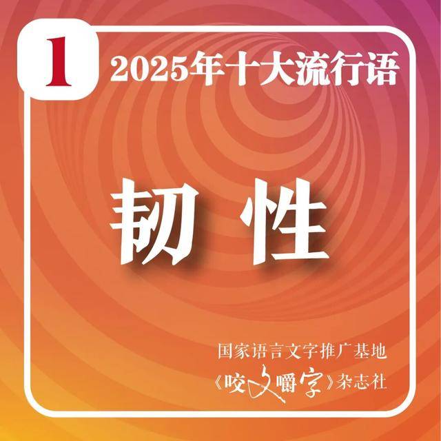 2025年十大流行语公布
