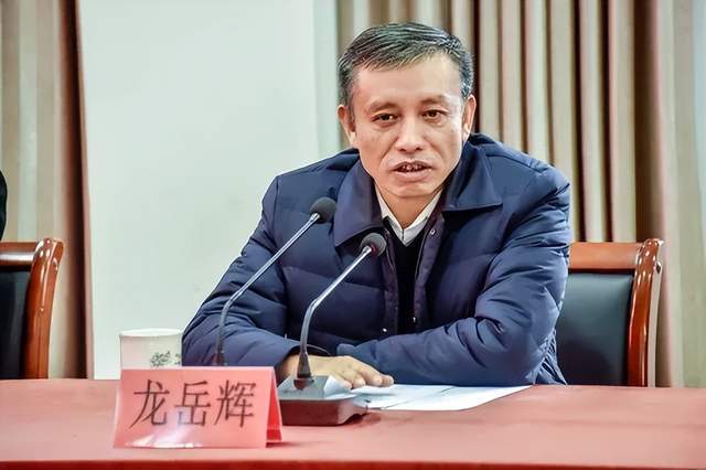 主动投案<strong></p>
<p>mci虚拟币</strong>,国家税务总局浙江省税务局原党委书记、副局长龙岳辉接受审查调查