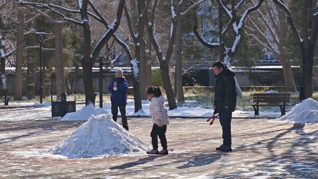 北京绿化带里用了二十年的板子<strong></p>
<p>mci虚拟币</strong>，今冬“下岗”了——