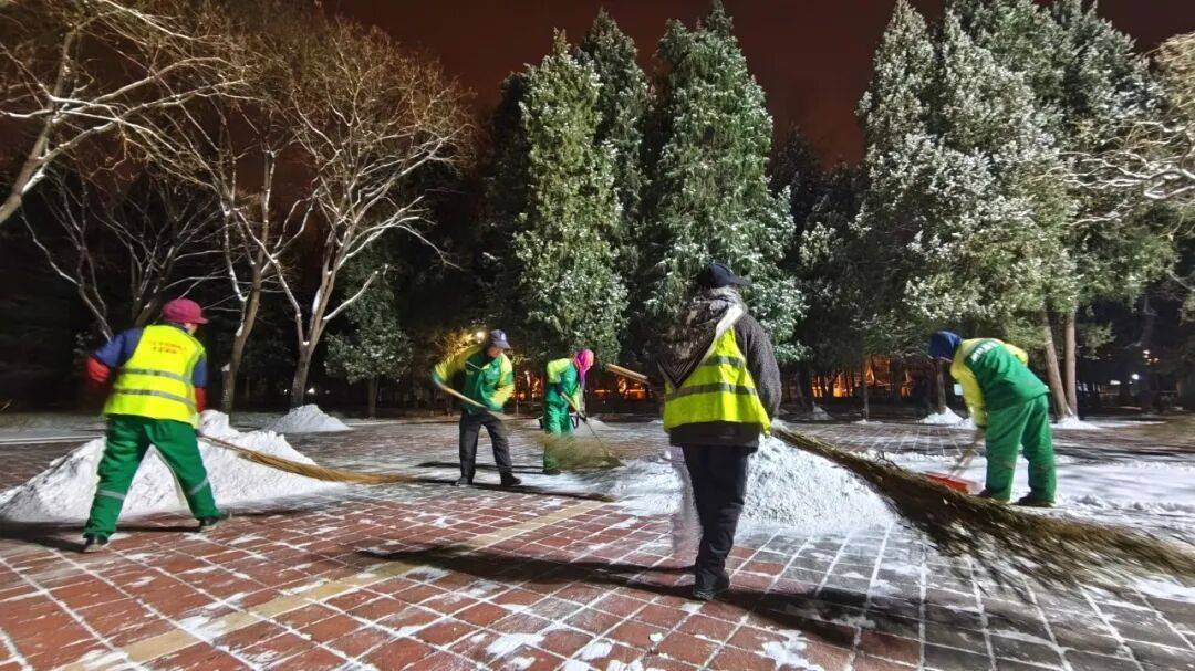 北京绿化带里用了二十年的板子<strong></p>
<p>mci虚拟币</strong>，今冬“下岗”了——