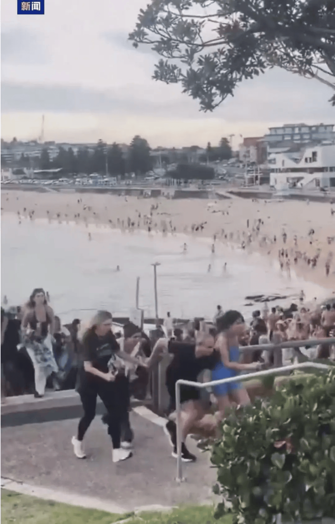 澳大利亚海滩枪击事件两名枪手为父子关系<strong></p>
<p>mci虚拟币</strong>,父亲50岁,儿子24岁!一名路人冒险夺枪反击,身中两弹,需接受手术