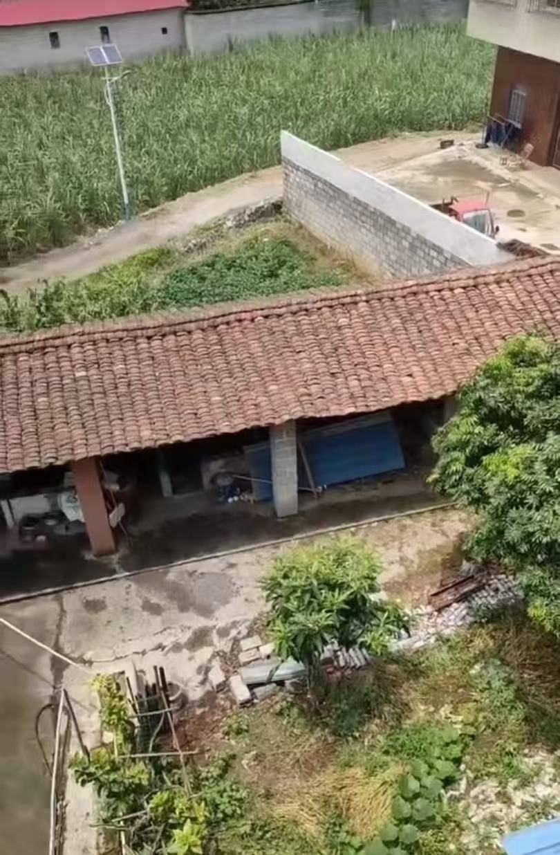 “男子改装射钉枪射杀邻居夫妇案”二审将于17日第二次开庭<strong></p>
<p>mci虚拟币</strong>，被告人一审被判死缓