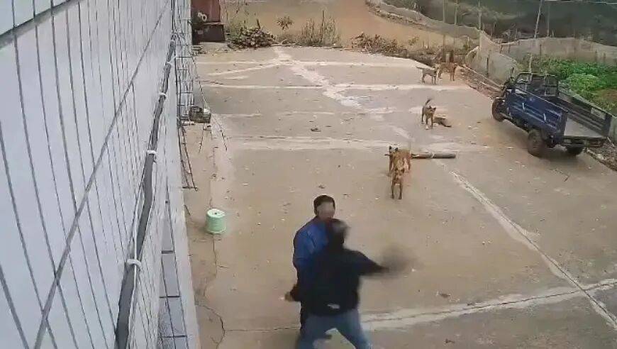 男子家门口吃橘子被邻居一拳打昏<strong></p>
<p>今日虚拟币暴涨一百倍</strong>，警方通报：因养狗问题起冲突，均有受伤