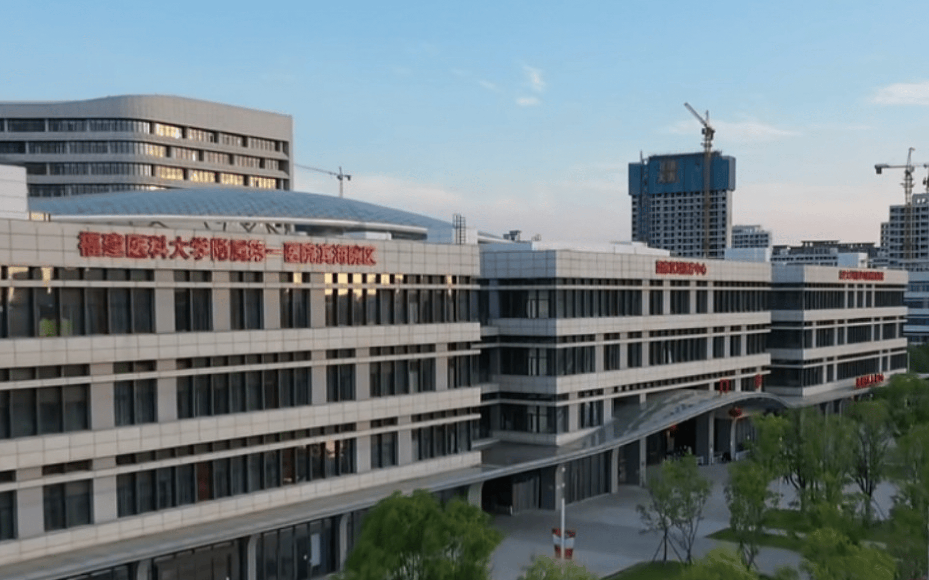 跑不过“调休难”：“最快女护士”张水华的争议与抉择