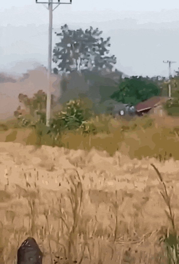 柬埔寨出动PHL-03型300毫米远火<strong></p>
<p>虚拟币被禁后如何操作</strong>，3发火箭弹准确命中泰军据点？