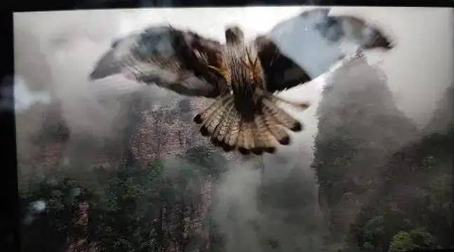 土耳其老鹰空中抓走无人机<strong></p>
<p>个人所得税虚拟币</strong>，带上山顶“玩自拍”