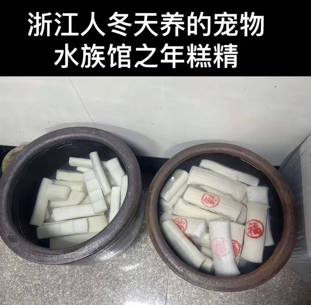 “养年糕”养到发烂发臭<strong></p>
<p>虚拟币GM币可靠吗</strong>,浙江人的噩梦来了