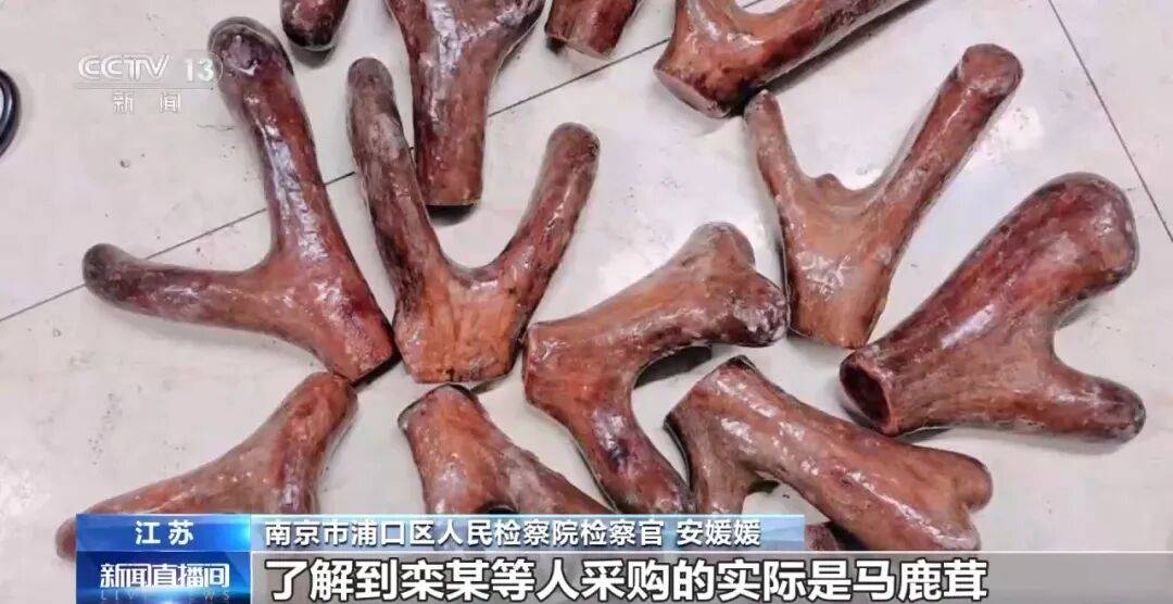 老人不买天价鹿茸被一脚踹翻<strong></p>
<p>游戏虚拟币交易平台违法吗</strong>，南京一团伙暴力威逼老人买单，100多人被骗，涉案金额90余万元，多数老人乖乖回家拿钱，甚至被逼去银行取款