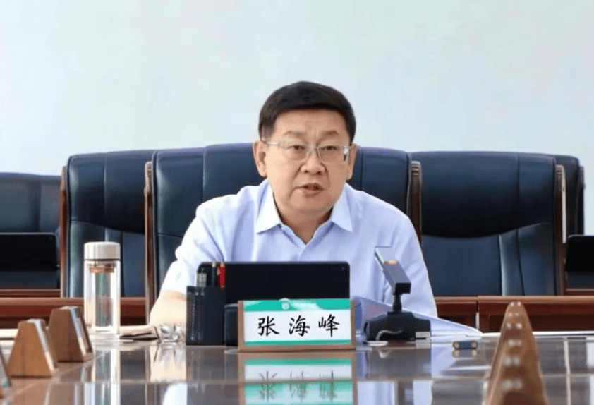 涉嫌严重违纪违法<strong></p>
<p>虚拟币BTT最新消息</strong>,张海峰被查