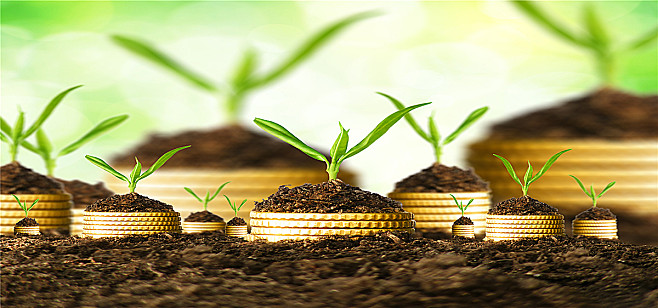 财经理财(财经理财方面的新闻)